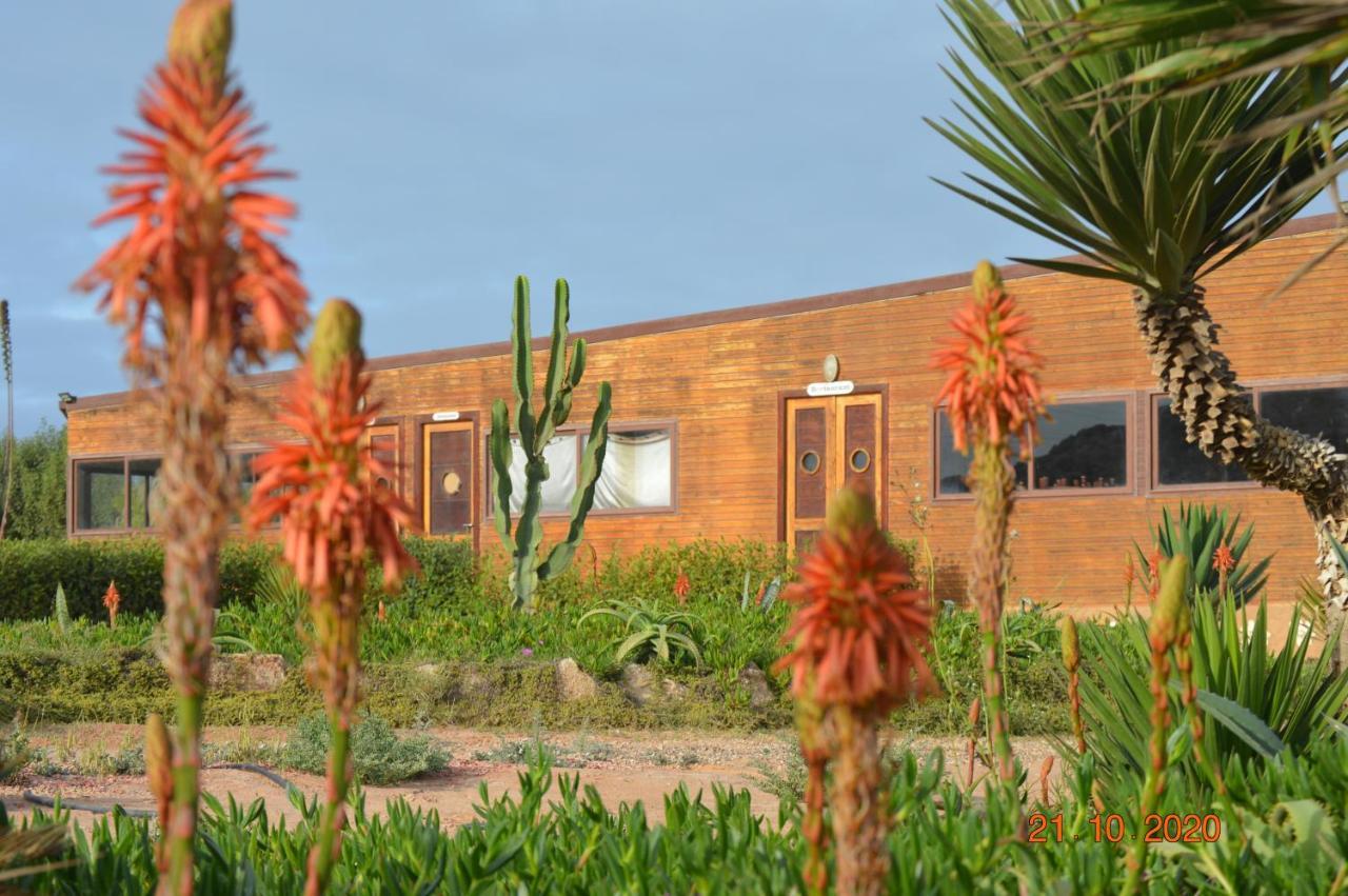 Hotel Dakhla Kitesurf World Zewnętrze zdjęcie